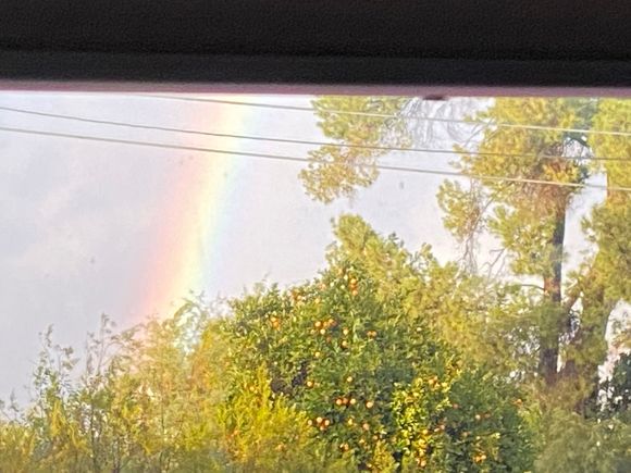 Best New Year’s hopes from rainy Tucson!