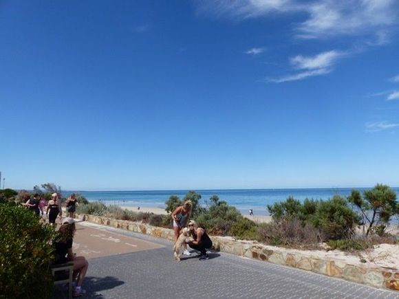 Walking path at foreshore 