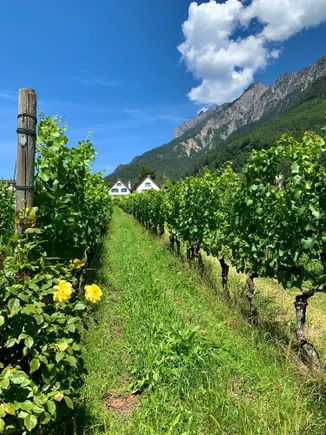 Had a wine tasting here