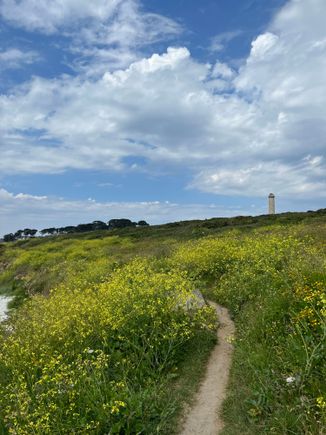 Hiking along wildflowers.