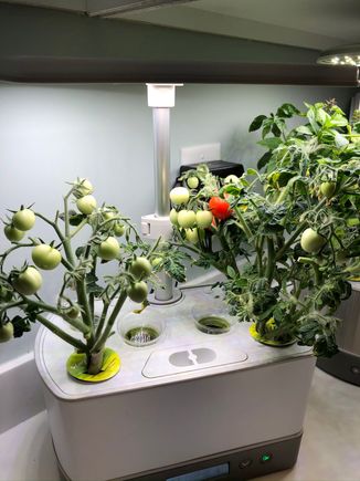 
Looking forward to making burst cherry tomatoes in the oven a la Vttraveler. 