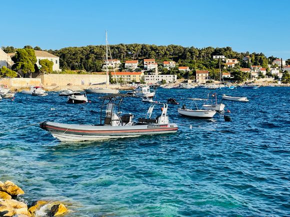  Coming back to shore!