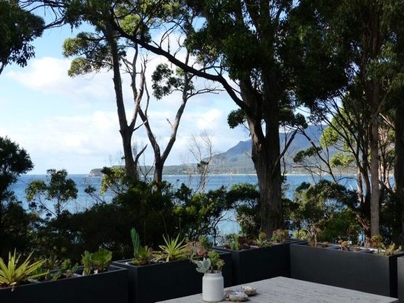 Our view