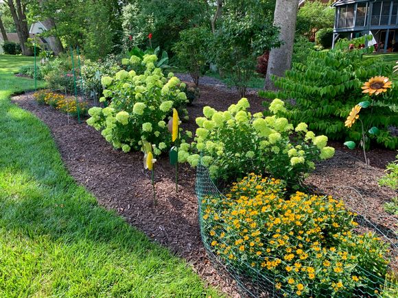 Our little lines are doing very well. All this landscaping was put in last year.