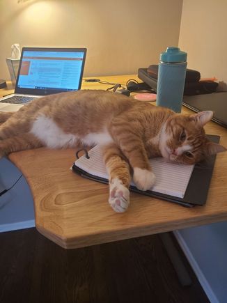 She’s having a bit of a problem. 