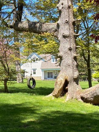 I stopped over at my neighbors who have been in upstate NY at their farm for the duration. They have a pool I’m allowed to use so I wanted to check it out. 