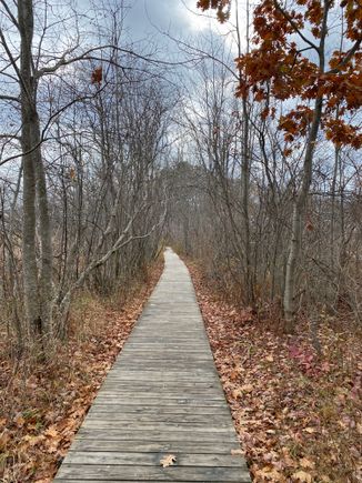 Path from the inn to the beach. 