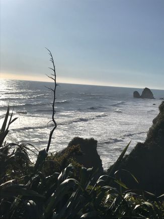 Coast road between Greymouth and Westport 