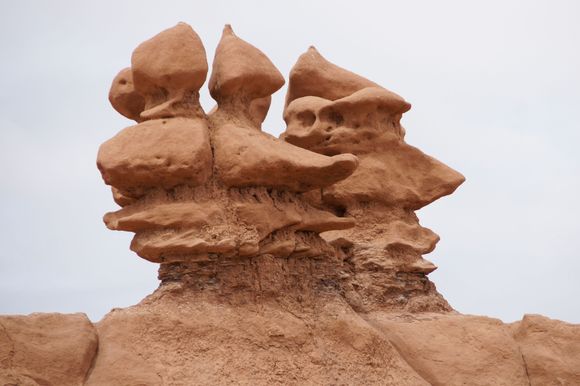 Look at their faces!