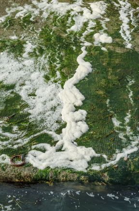 Seafoam at Ile de Moines ('monks') in the Gulf of Morbihan.