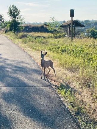 Bike ride tonight along the Missouri. 