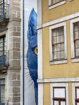 My favorite shot from the Rua das Flores 