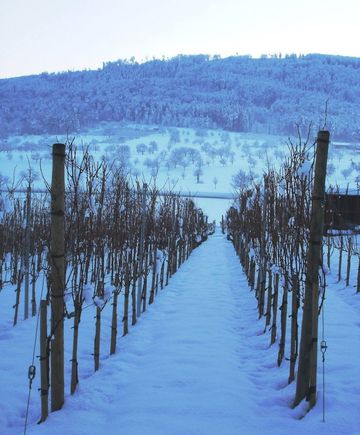 
Ettingen is very pretty in the winter as well. 