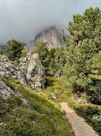 At one point, the trail branched. We took the route not indicated for bikes or strollers.