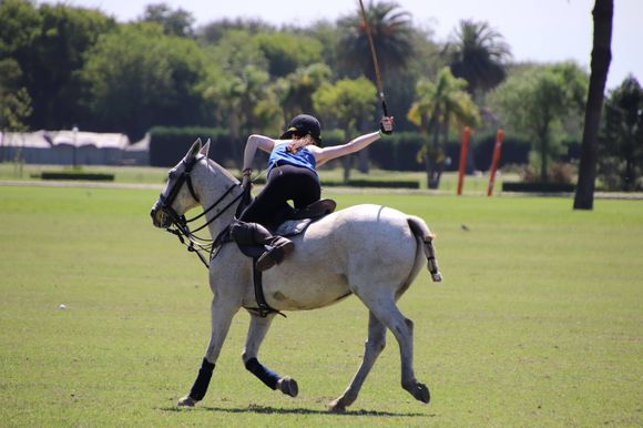 Gorgeous weather and 500 horses to choose from