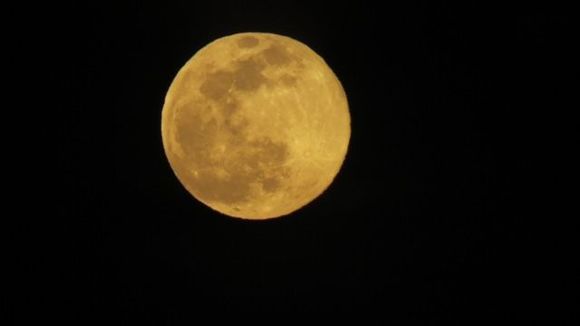 Eser is into stone painting these days