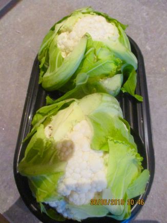 Aren't they adorable?