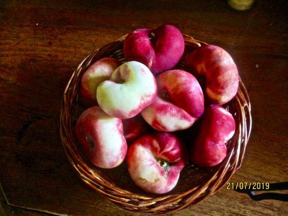 flat peaches for ice cream