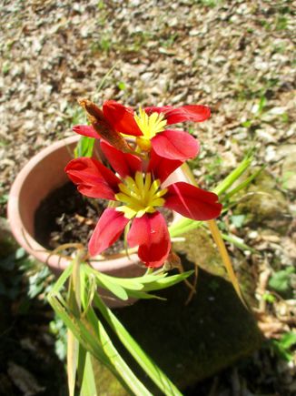 Have no idea what this is; it just popped up yesterday