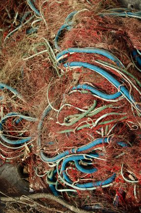 Fisherman's nets in old Nice marina.