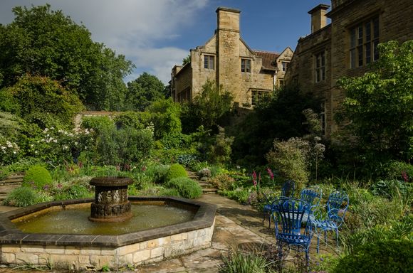 Kiftsgate had a modest cafe and a modester gift shop. Shoots and plants were for sale out front.