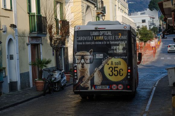 Time for a castle tour. Bus #7 will take you from Porto down to the terminus in Ponte i.e. at the foot of the bridge. The Aragonese Castello will appear right before you, perched 113 meters atop its own trachytic rock islet. An isle within an isle. Note the bass-playing llama on the bus promo.