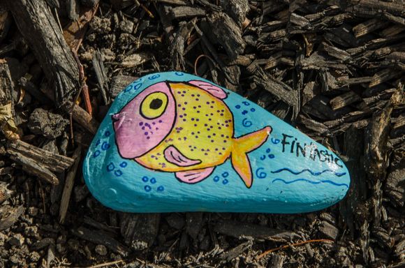 Fish.