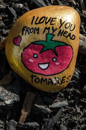 Tomato.