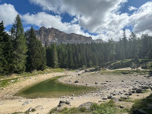 Looks a little dry in this area