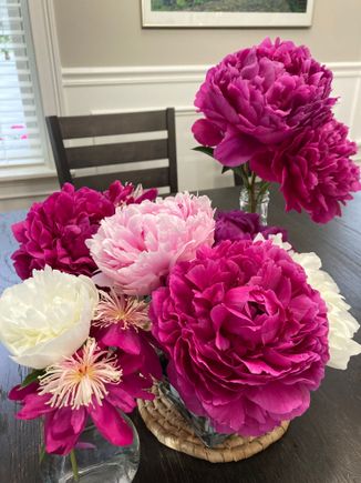 4 varieties of peonies in bloom 