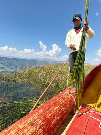 Demonstrating how he harvests the reeds