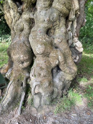 I'm sure this was somehow featured in Game of Thrones