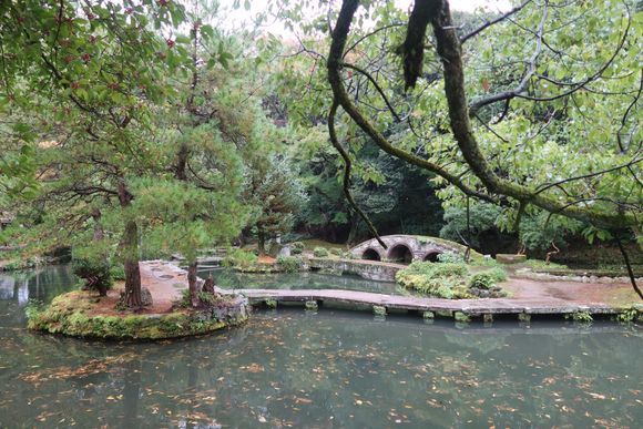 Garden and Pond at Omiya Shrine