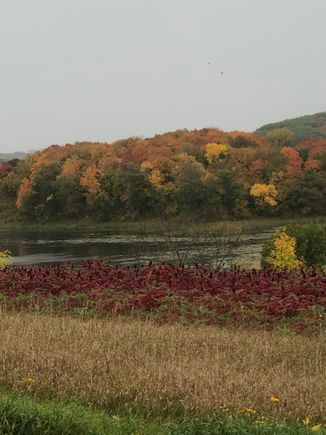 small panoramic shot of a hill side.