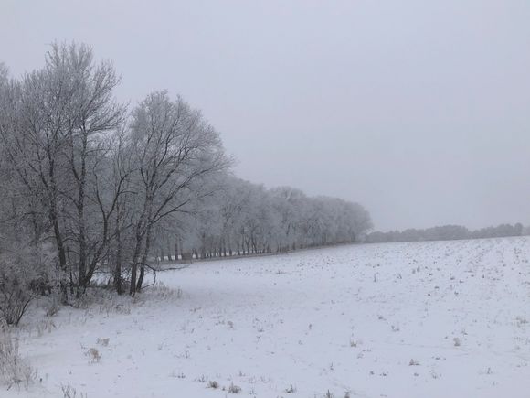 other side of the same field