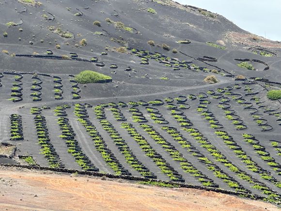Photos suffered, as most were taken from the car of our driver, with whom we had a full-day tour of Manrique sights, with a quick pass through the wine growing area.