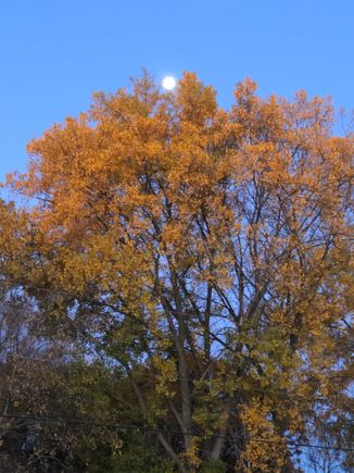 The moon was still high in the sky at sunup. Who the hell gets up this early on a Saturday?
