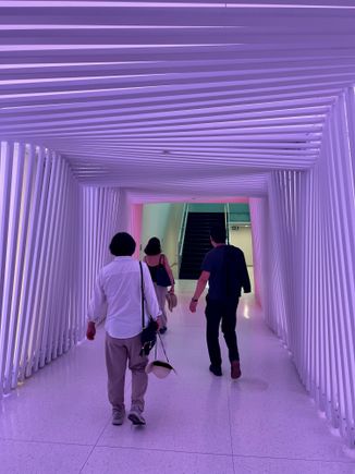 The "woo-woo" lighted tunnel within the Parliament Building.