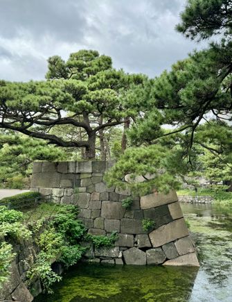Edo Castle 