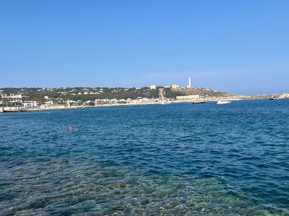 View from my chaise.