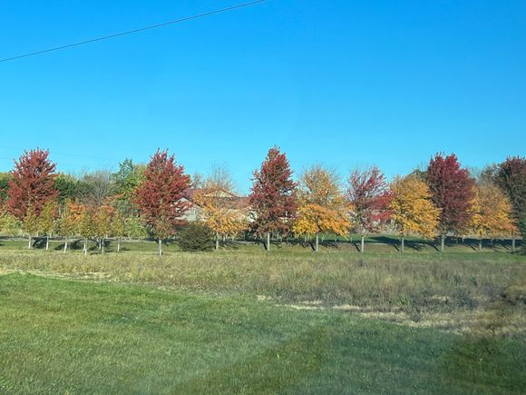 a more typical farm lane.