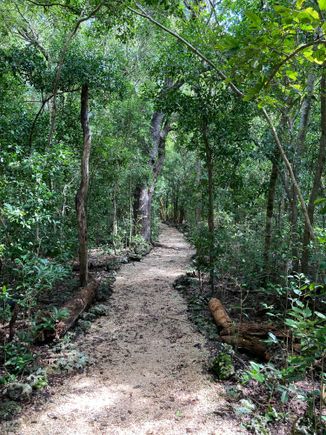 Hiking trail in John Pennekamp State Park