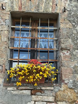 More pretty window boxes