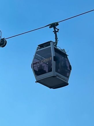 This guy went right next to our van