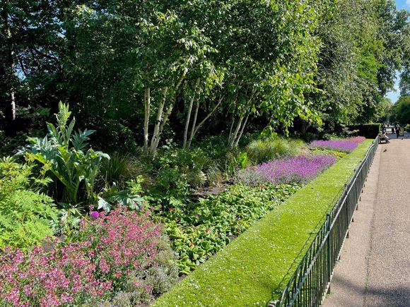 Part of the Flower Walk