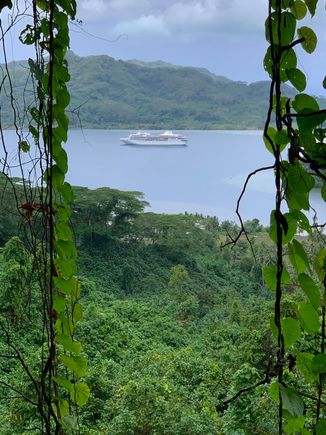 The Paul Gauguin cruise ship holds 330 but is only 80% full for our cruise.