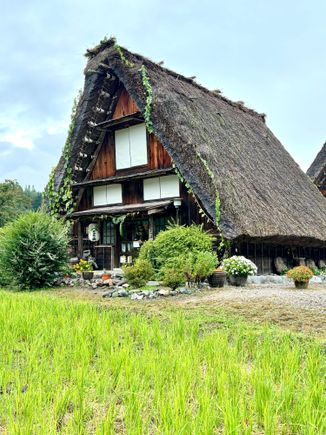 The roofs used to last 100 years but now just 30-40.