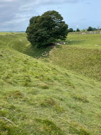 The Henge around the stones.