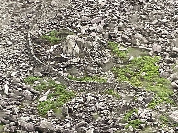 I guess they had more than enough stones to build this wall