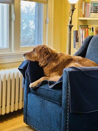Naps during the Montana State game (Lil was asleep on our bed and Kate was at the game).